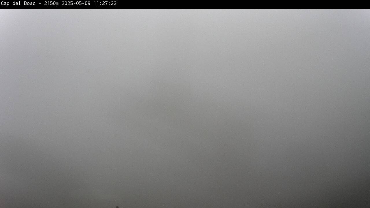 Webcam en Cap del Bosc