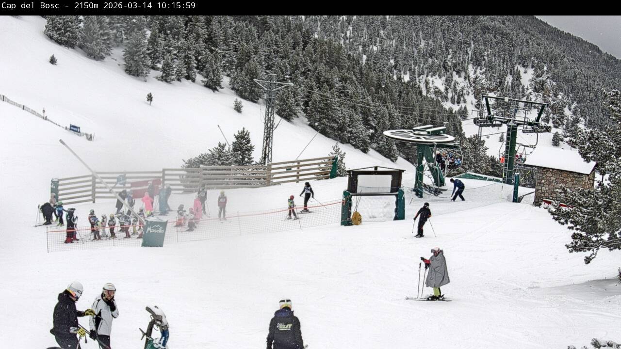 Webcam en Cap del Bosc