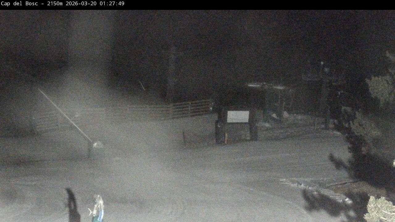 Webcam en Cap del Bosc