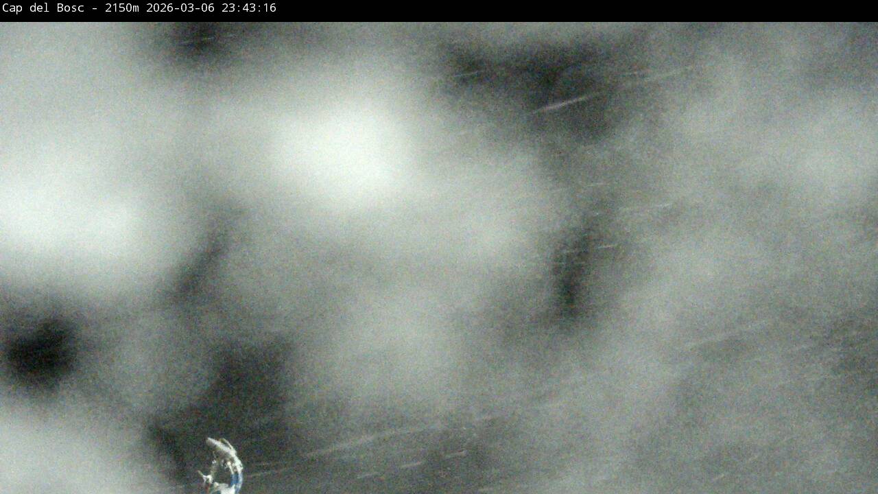 Webcam en Cap del Bosc