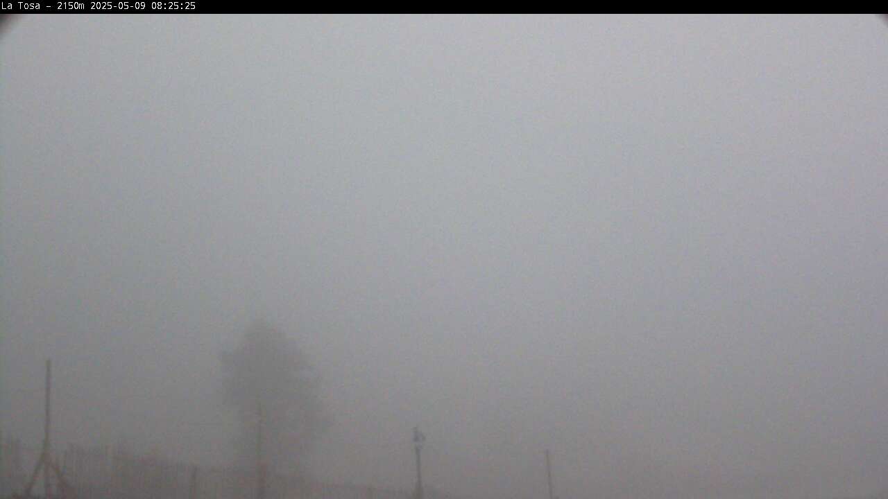 Webcam en Cap del Bosc - La Tosa