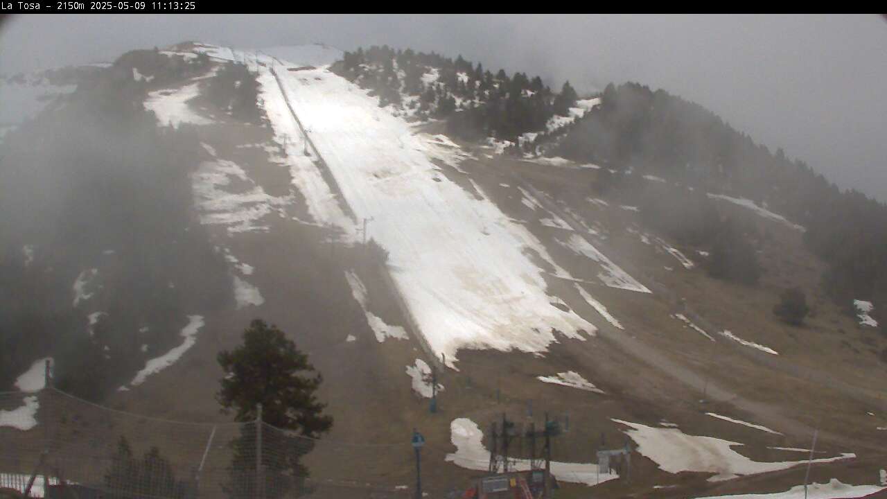 Webcam en Cap del Bosc - La Tosa