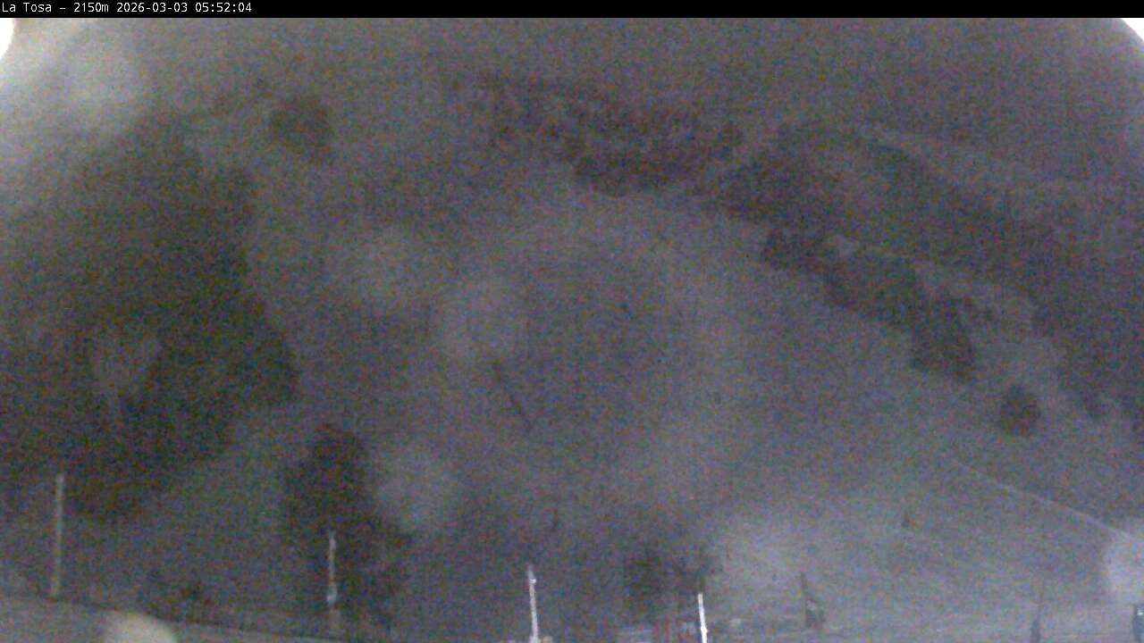 Webcam en Cap del Bosc - La Tosa