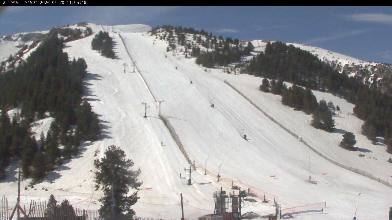 Webcam en Cap del Bosc - La Tosa