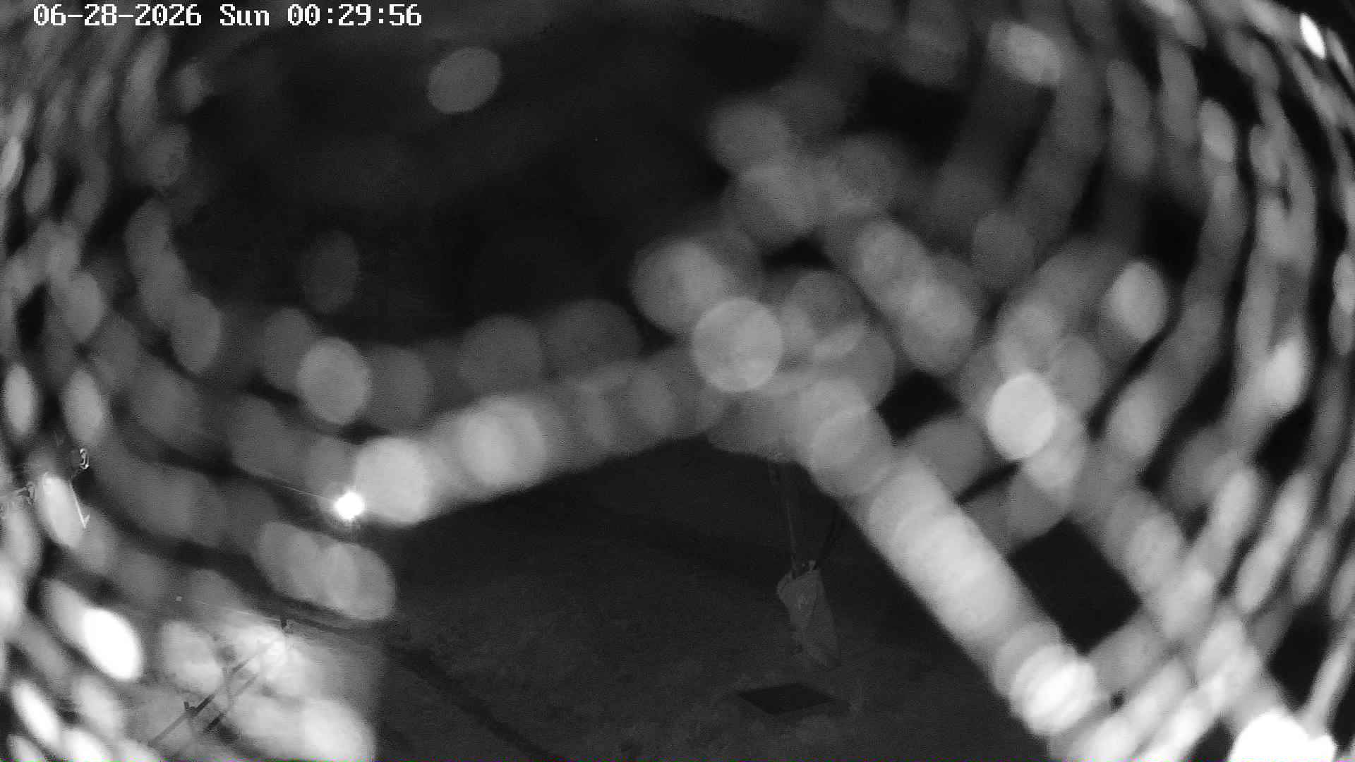 Webcam en Coma Oriola 1950m