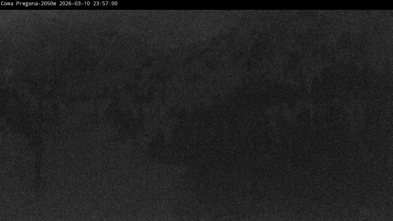 Webcam dans Coma Pregona, Masella (Catalogne)