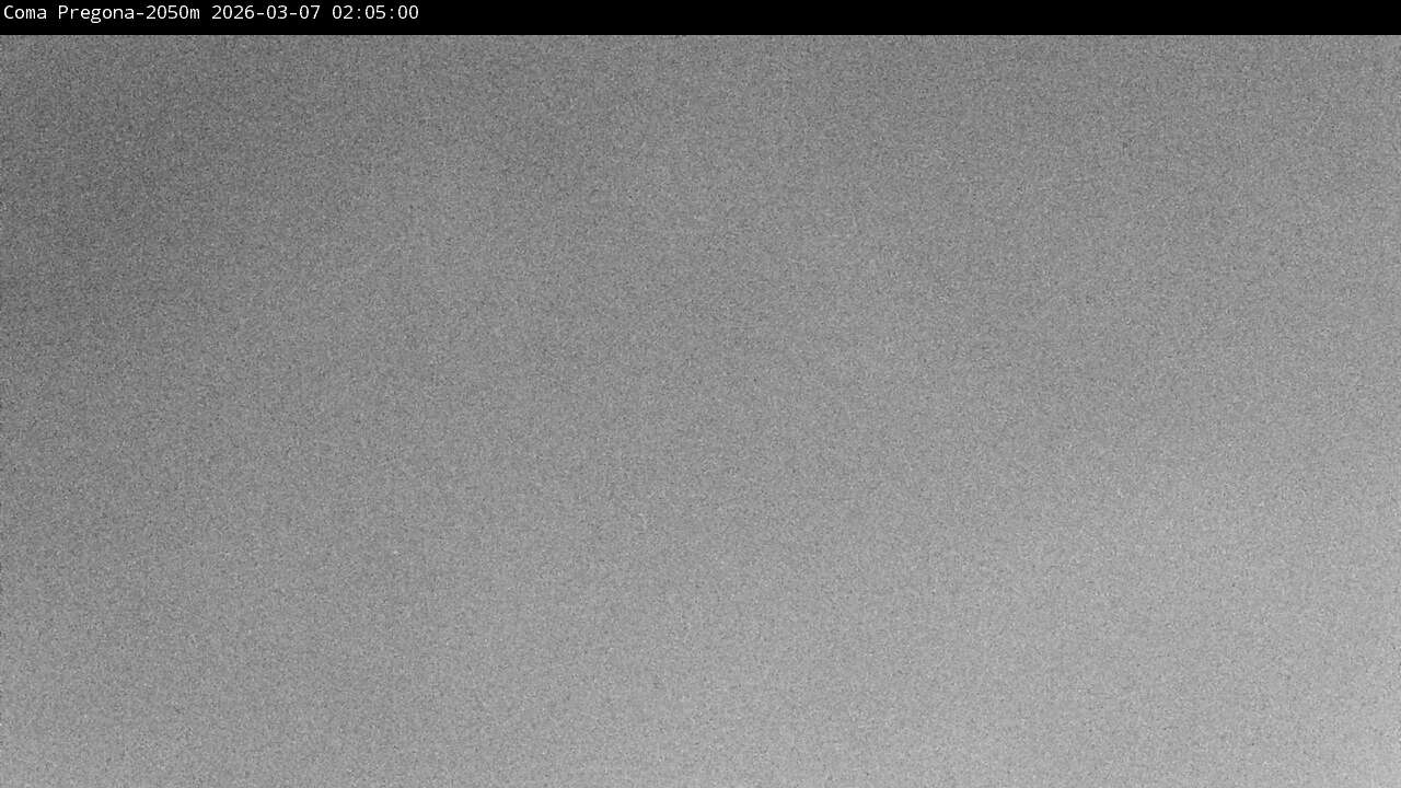 Webcam en Coma Pregona