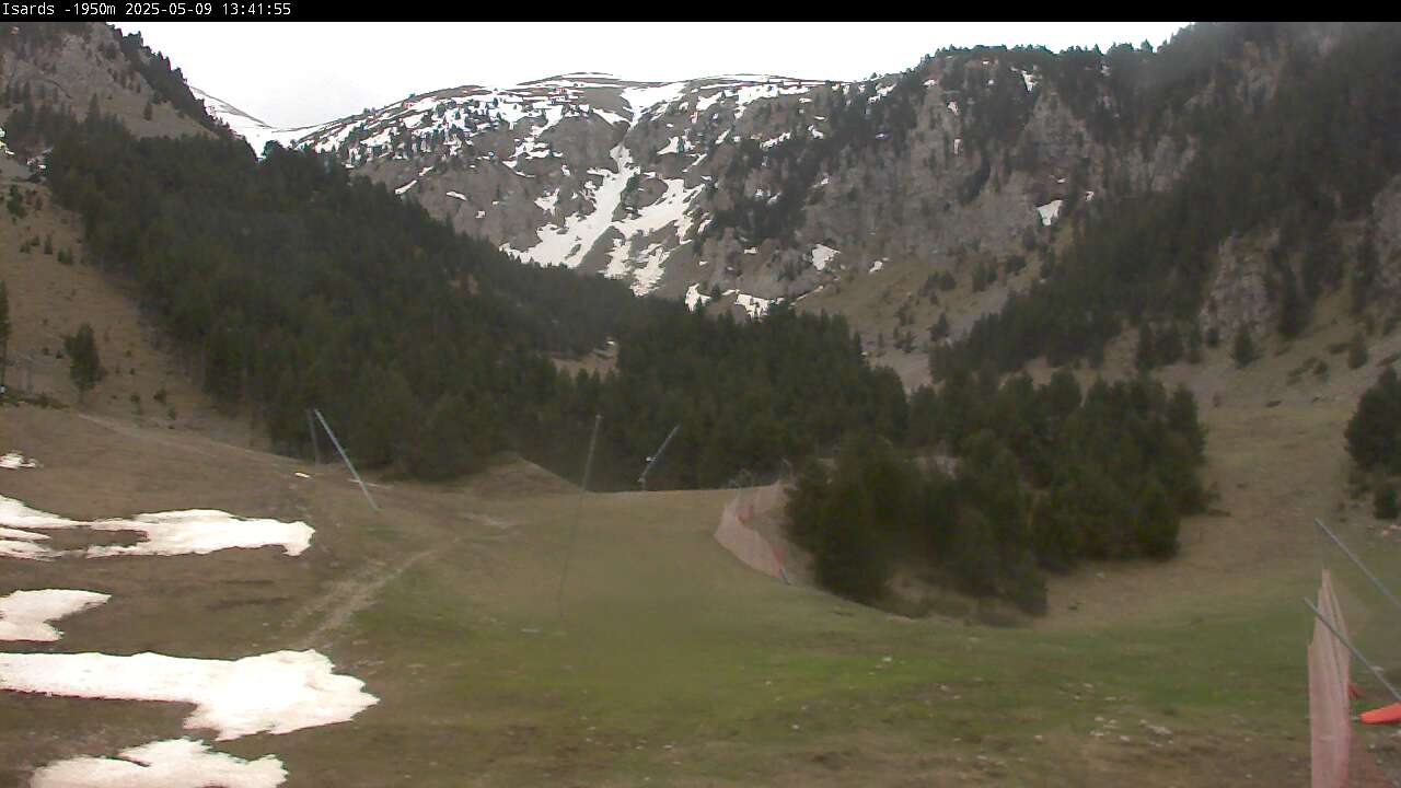 Webcam dans Isards, Masella (Catalogne)