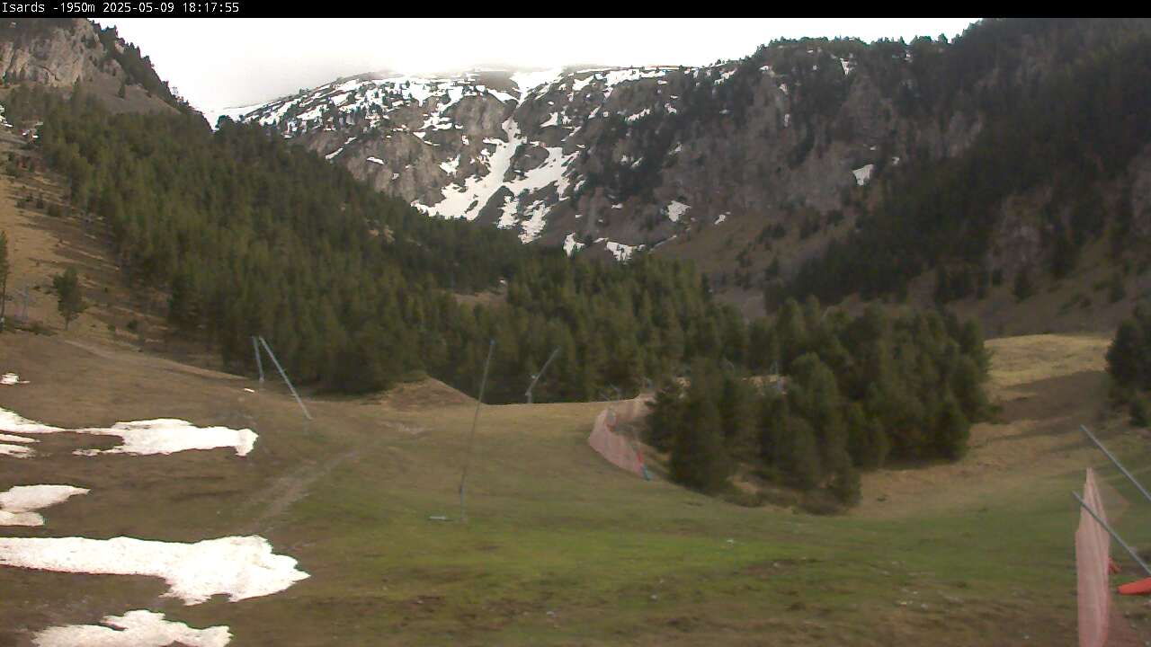 Webcam en Isards, Masella (Pirineo Catalán)