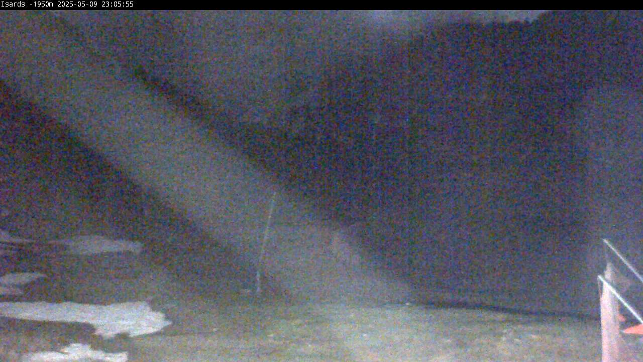 Webcam en Isards