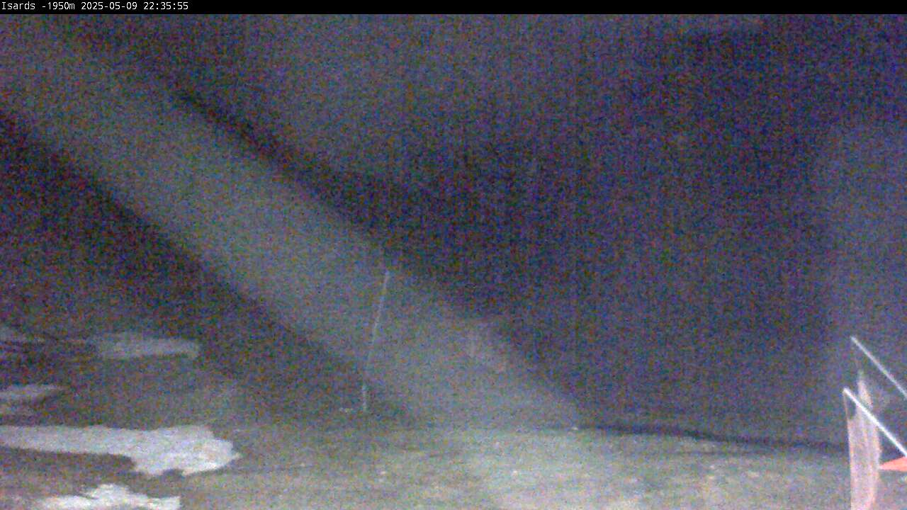 Webcam en Isards