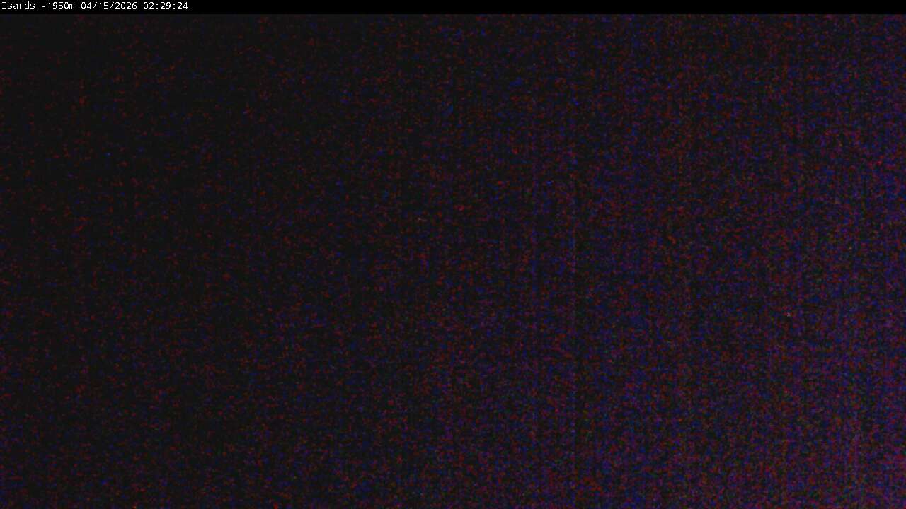 Webcam en Isards