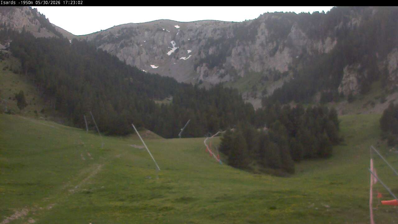 Webcam en Isards