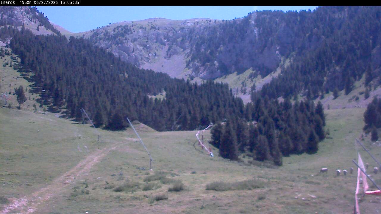 Webcam en Isards