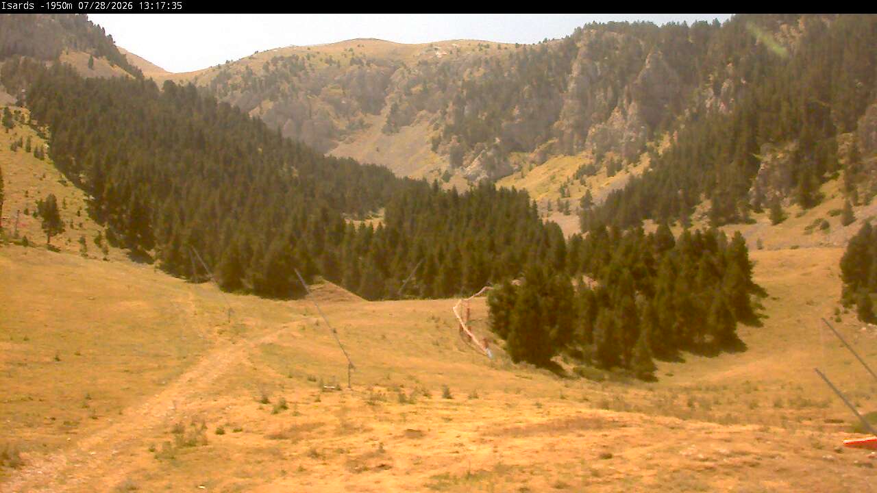 Webcam dans Isards