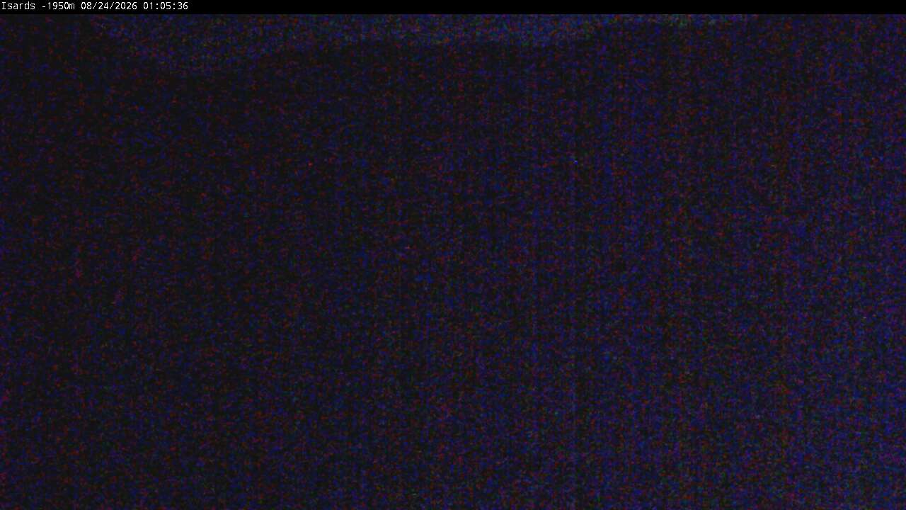 Webcam en Isards