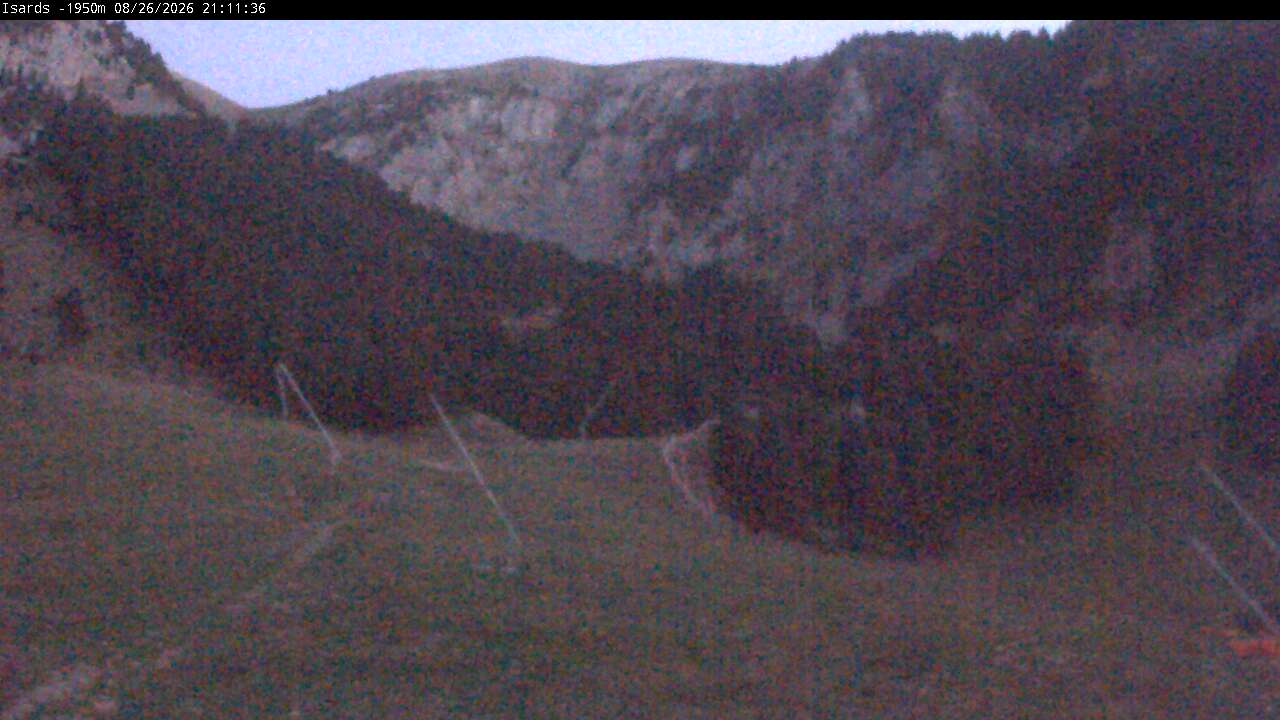 Webcam en Isards