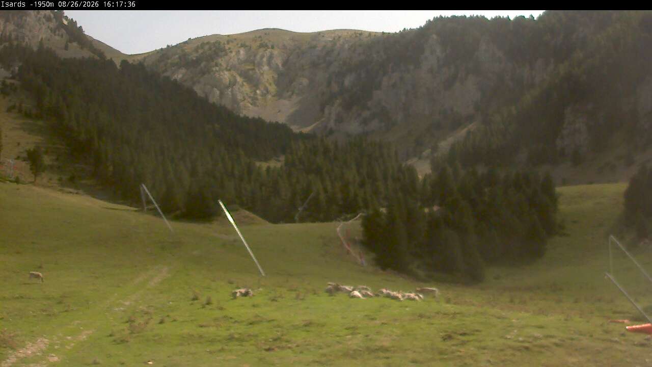 Webcam en Isards
