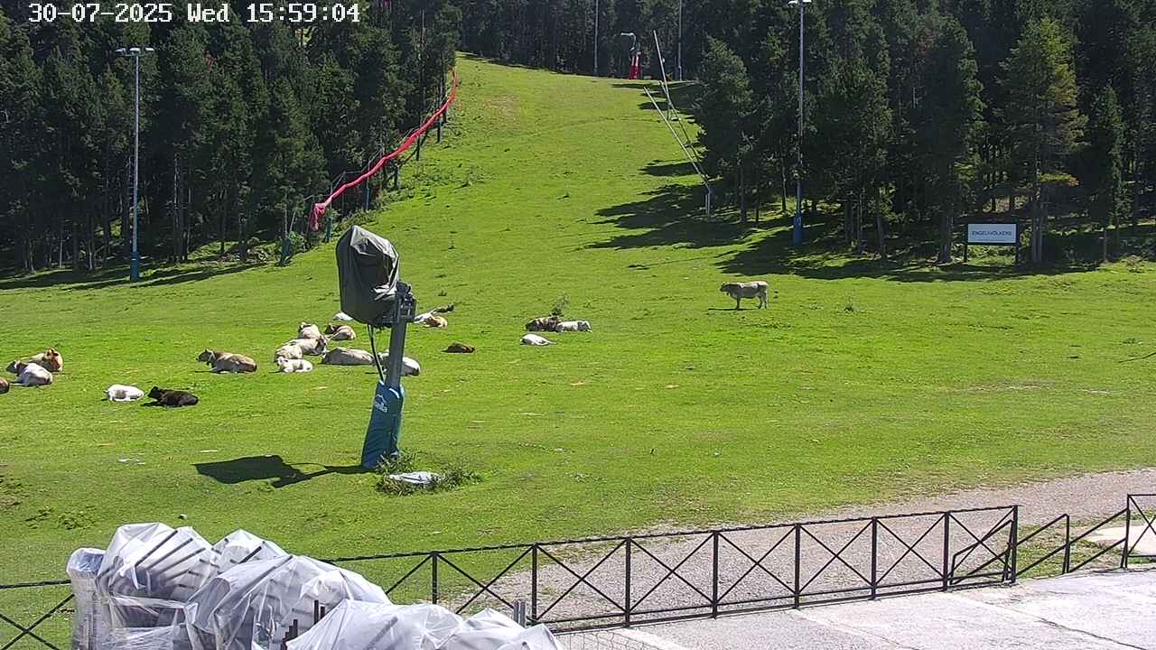 Webcam en Pla de Masella