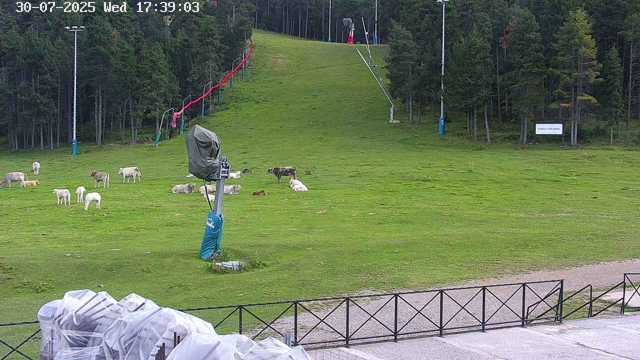Webcam en Pla de Masella