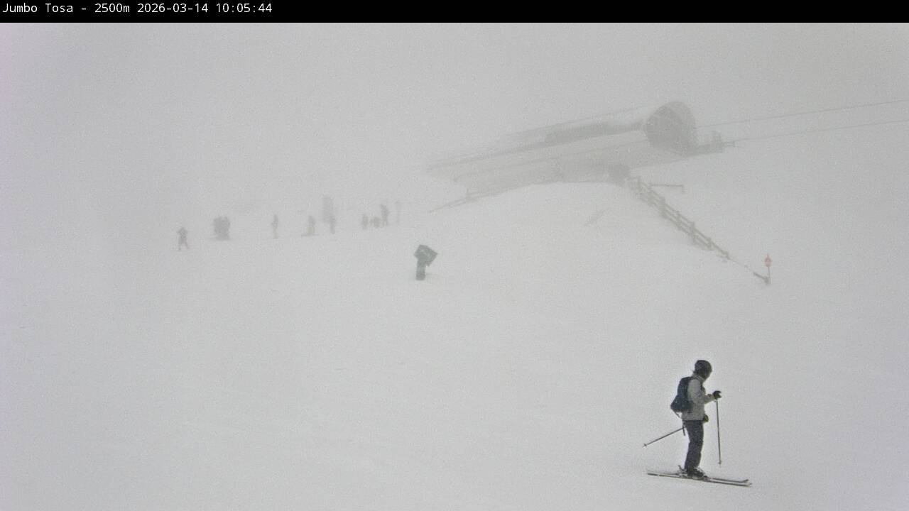 Webcam en Jumbo Tosa - Estaci&oacute;n Superior
