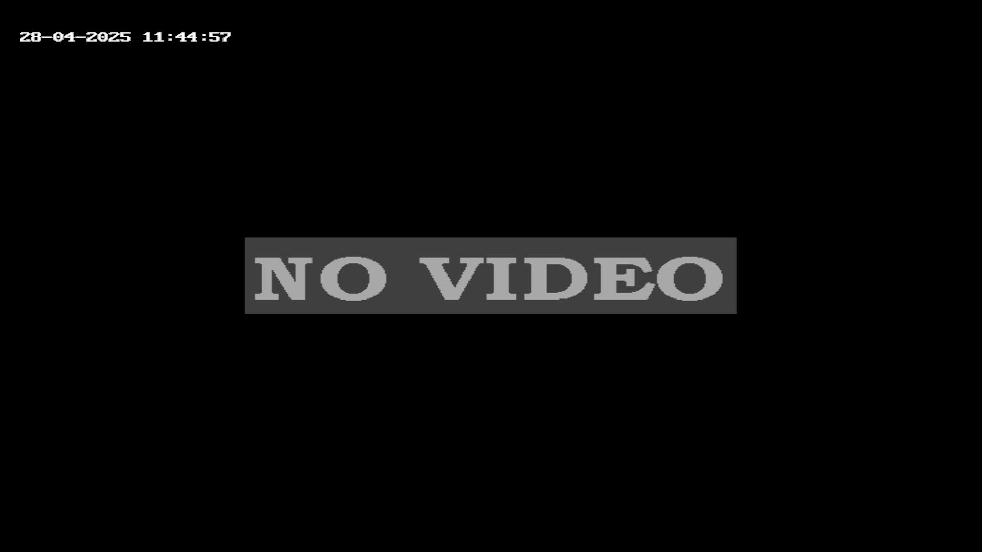Webcam en Jumbo Tosa 1.900