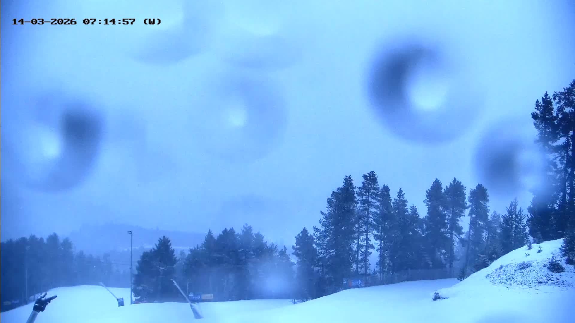 Webcam en Jumbo Tosa 1.900