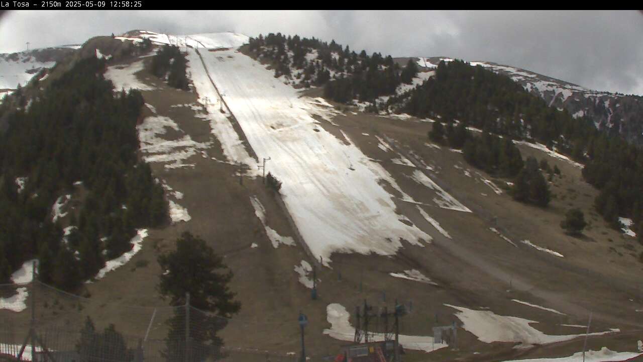 Masella webcam - La Tosa ski slope