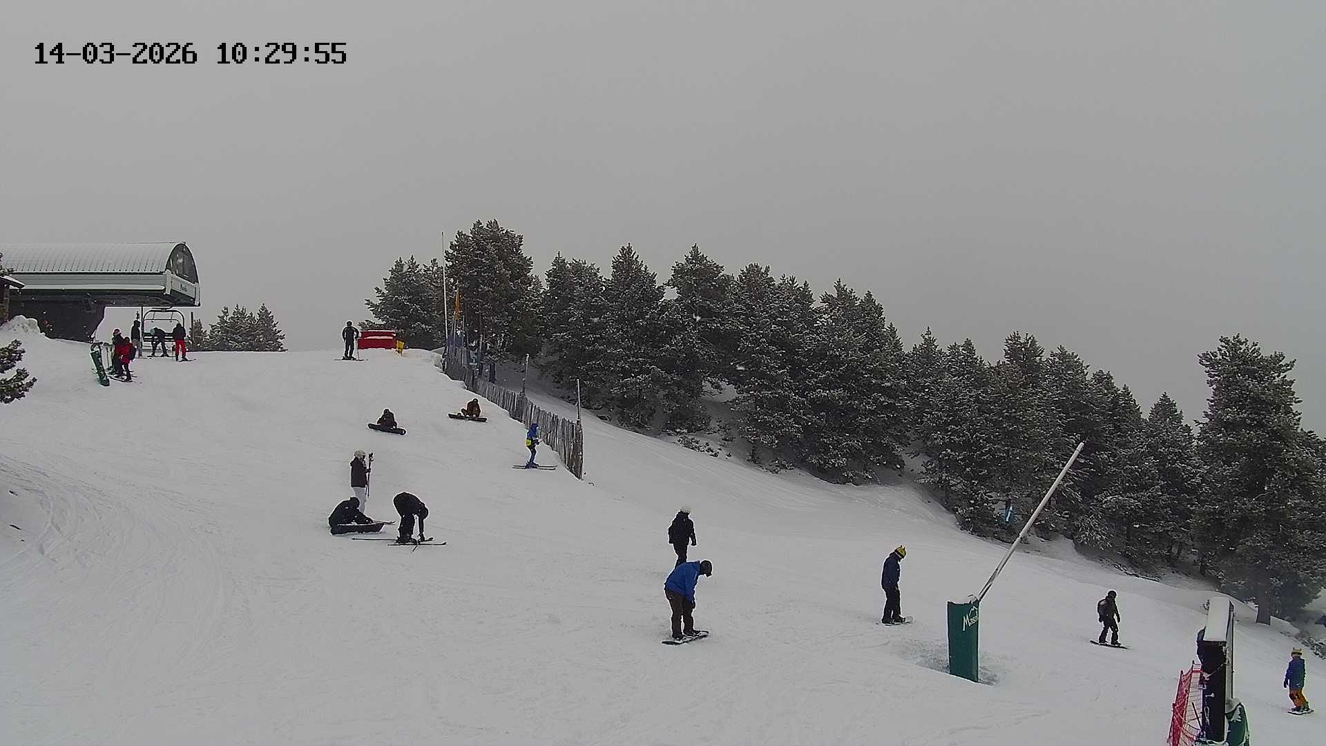 Webcam dans Coma Oriola 2150m